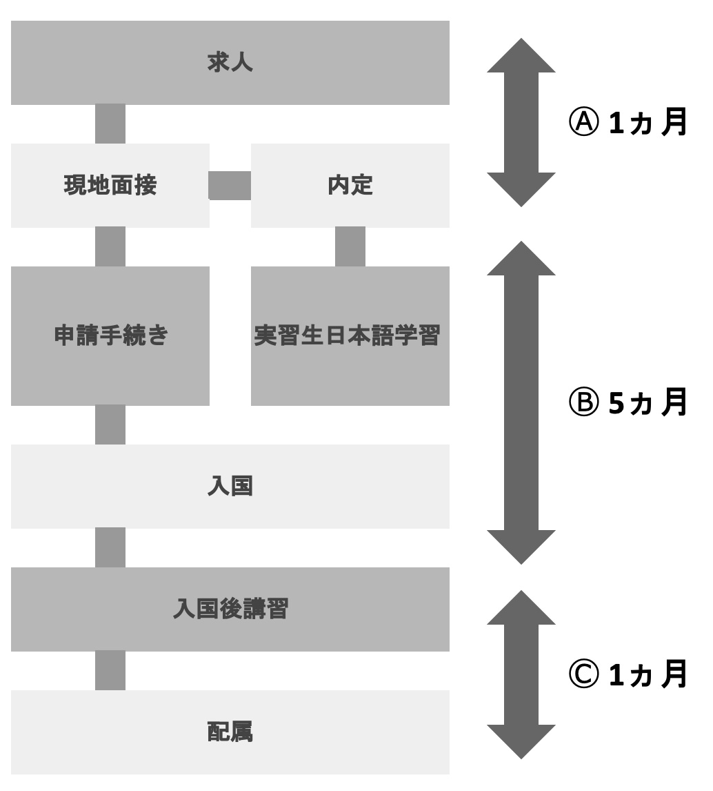 受け入れスケジュール